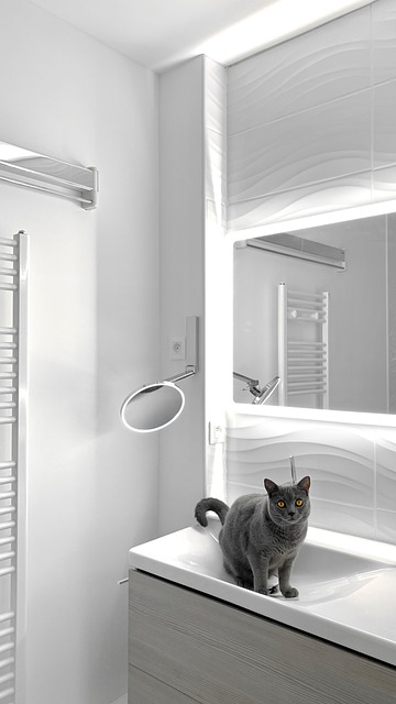 셀프 욕실 조명으로 고급스러운 분위기 더하기